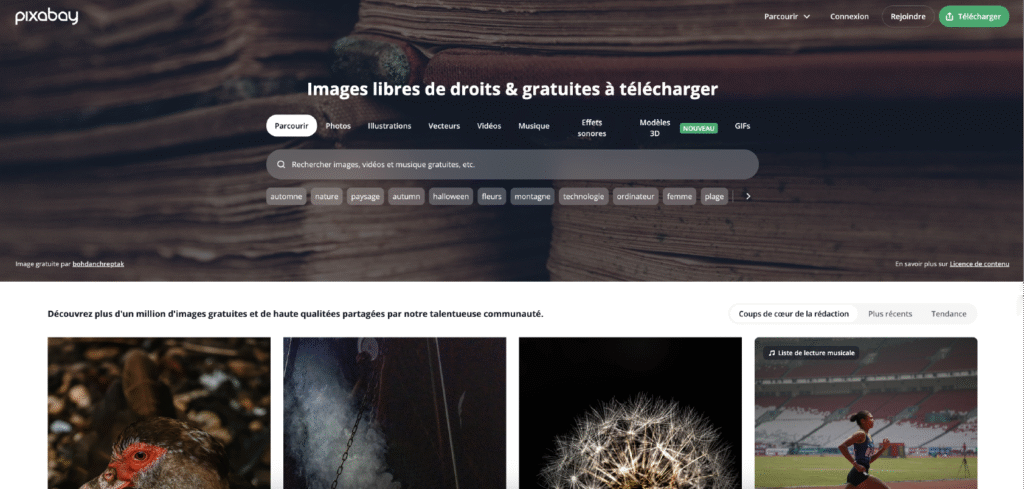 Pixabay plateforme gratuite photos illustrations et vecteurs libres de droits