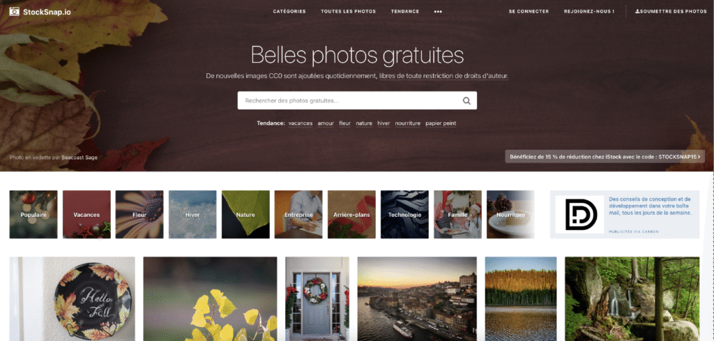 StockSnap.io catalogue de photos HD gratuites libres de droits