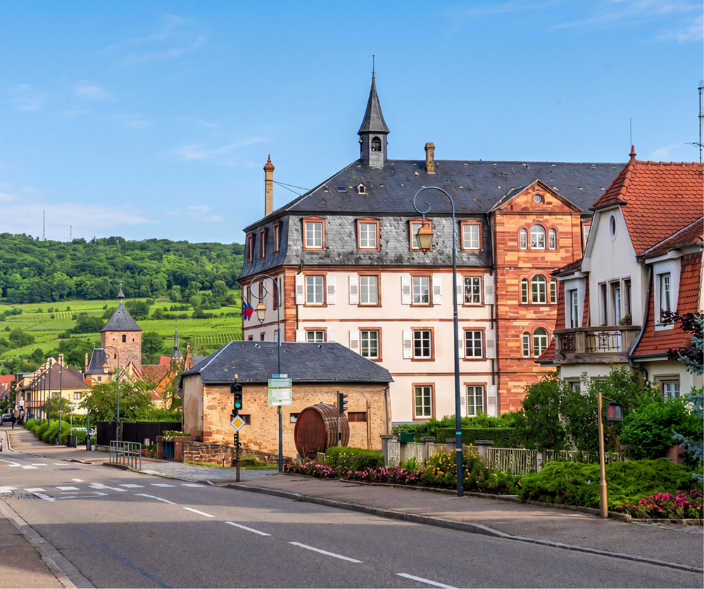 Vue sur les bâtiments historiques de Molsheim avec les vignobles alsaciens en arrière-plan