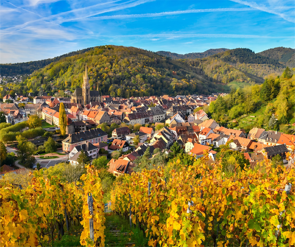 Thann et son vignoble en couleurs d'automne