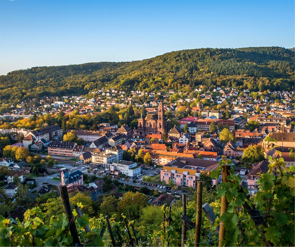 Vue panoramique de Guebwiller au pied des Vosges